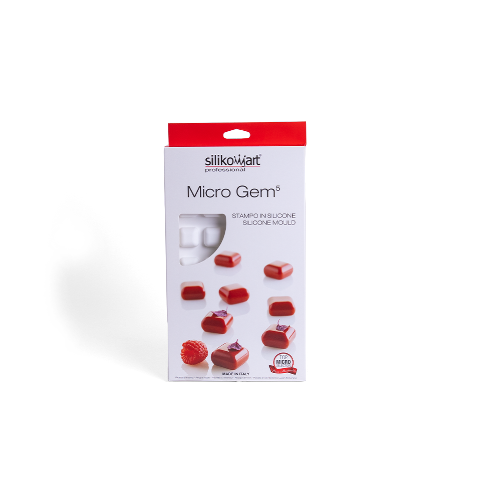 Micro Gem5 Silicon Mould