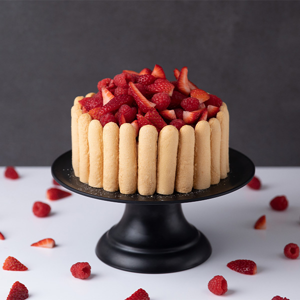 Entremet Ring 160 d x 45 h S/S