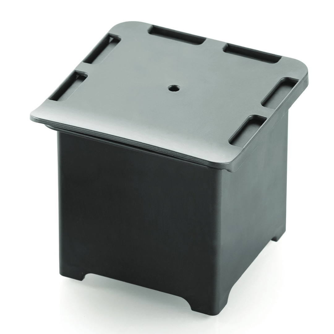 New York 270 Baking Cube Set of 6