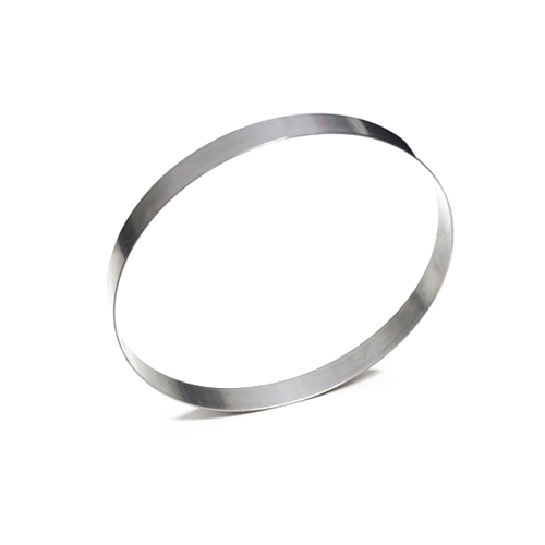 Tart Ring 160 d x 22 h S/S